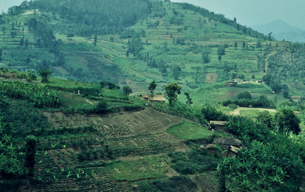Epic Journeys 2005 Auf dem Landweg von Kigali nach Kapstadt (8)