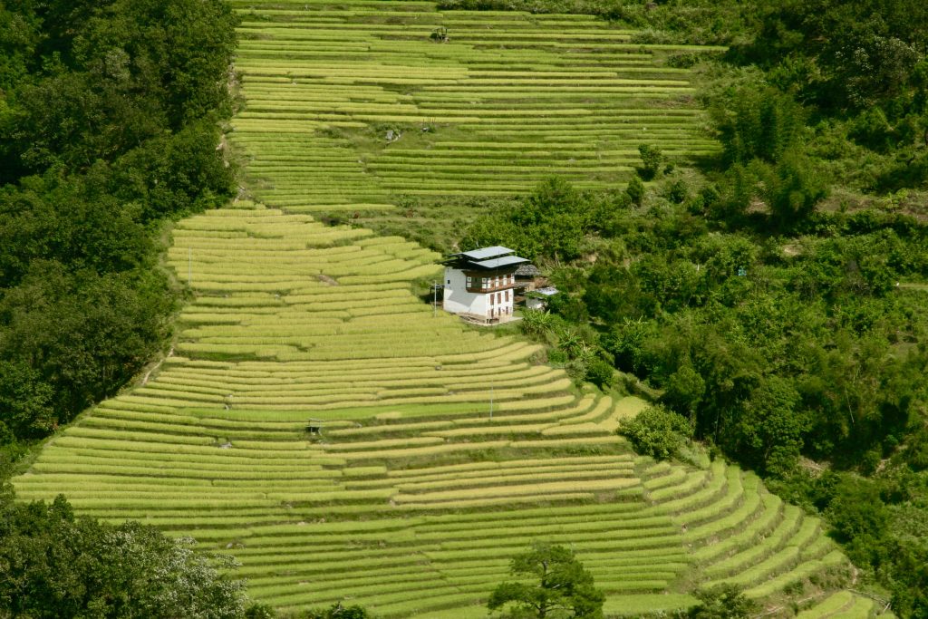 Epic Journeys 2009 Von Kalkutta über Darjeeling nach Bhutan (28)