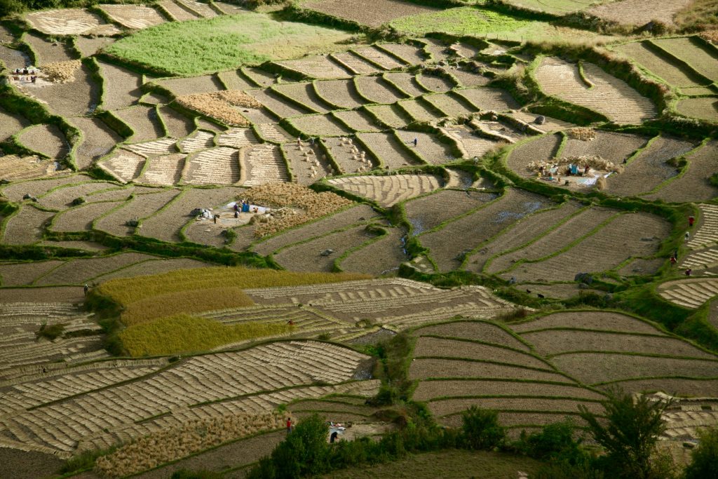 Epic Journeys 2009 Von Kalkutta über Darjeeling nach Bhutan (29)
