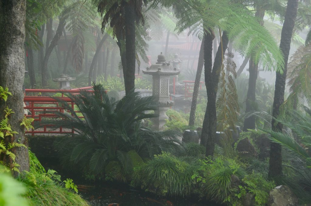 Epic Journeys 2012 Von Malle nach Manaus (1)