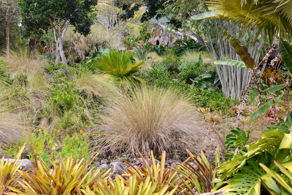 Epic Journeys 2014 Guyana Grenada St. Vincent & the Grenadines ST. Kitts & Nevis Miami (11)