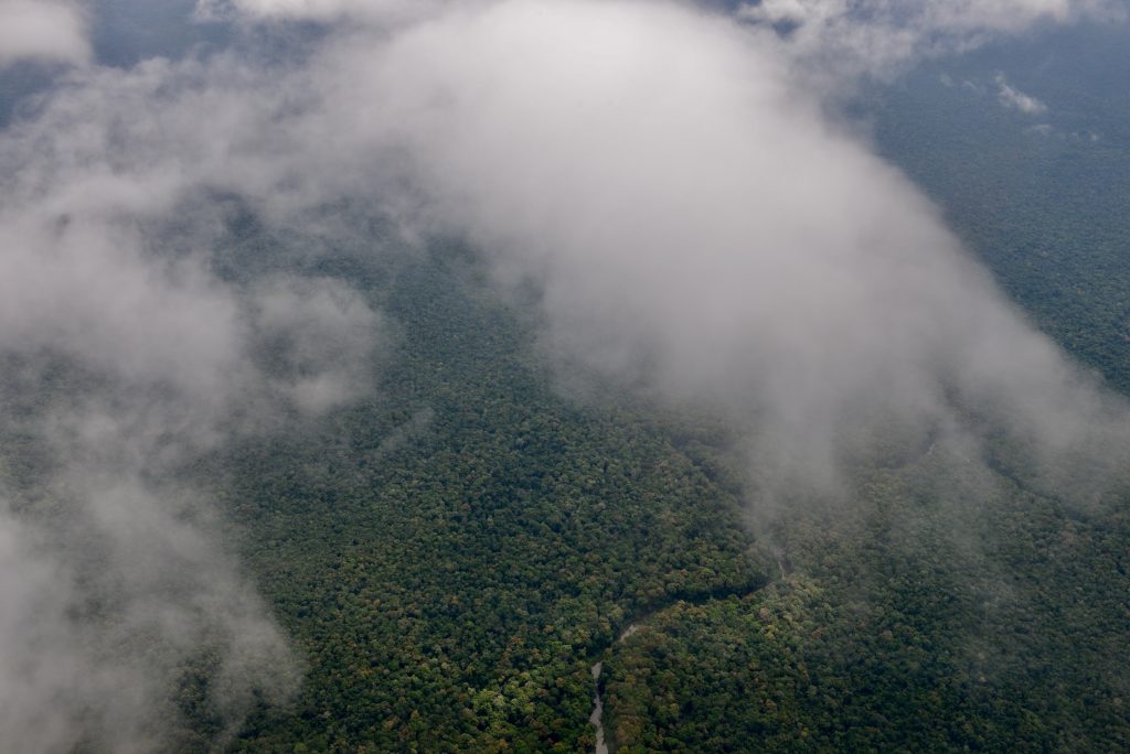 Epic Journeys 2014 Guyana Grenada St. Vincent & the Grenadines ST. Kitts & Nevis Miami (16)