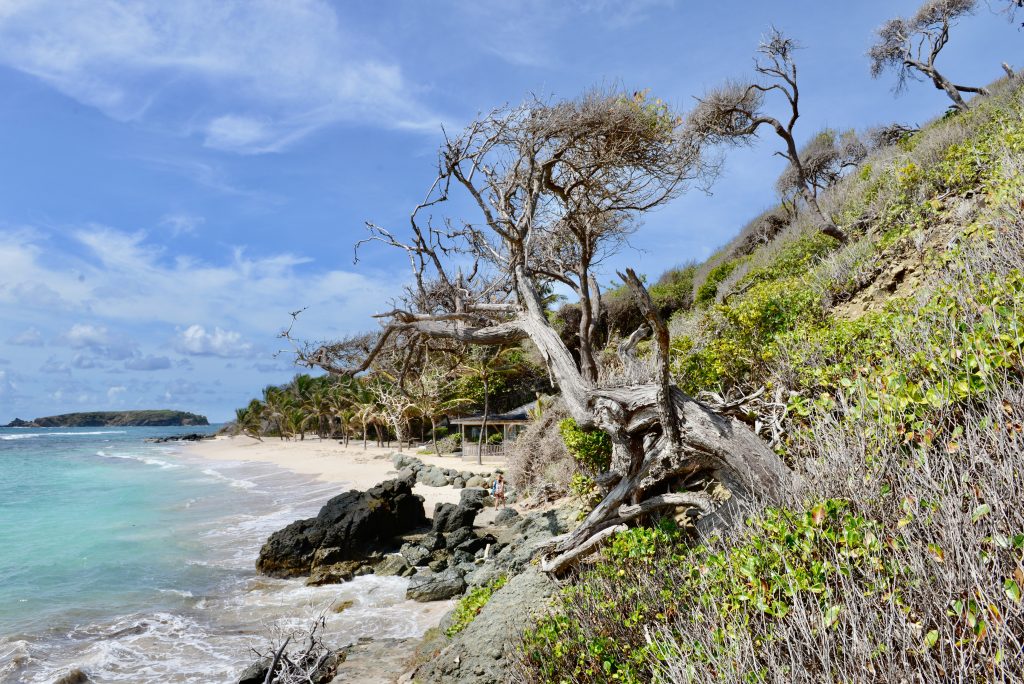 Epic Journeys 2014 Guyana Grenada St. Vincent & the Grenadines ST. Kitts & Nevis Miami (16)