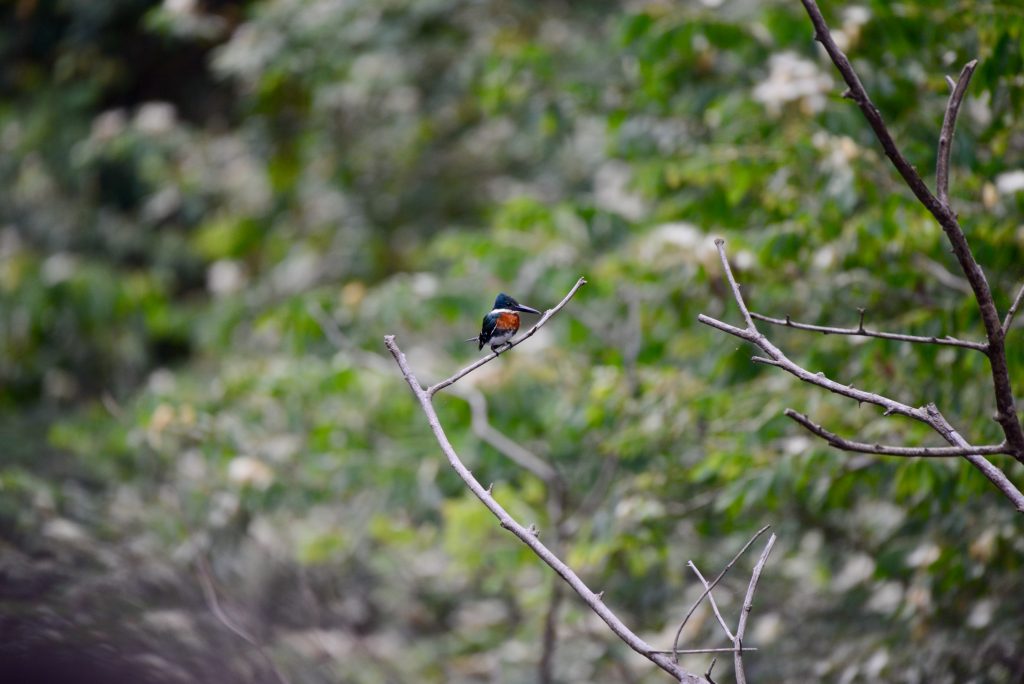 Epic Journeys 2014 Guyana Grenada St. Vincent & the Grenadines ST. Kitts & Nevis Miami (18)