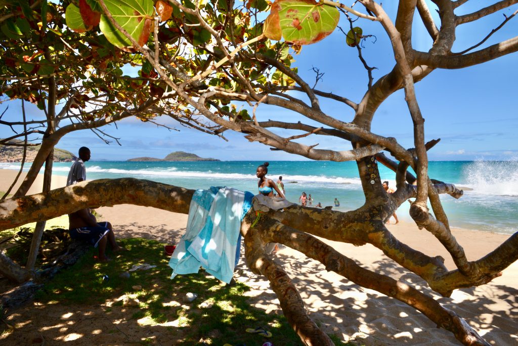 Epic Journeys 2014 Guyana Grenada St. Vincent & the Grenadines ST. Kitts & Nevis Miami (18)
