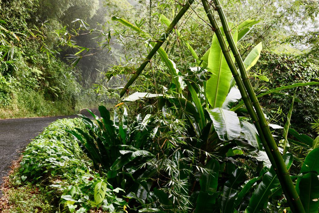 Epic Journeys 2014 Guyana Grenada St. Vincent & the Grenadines ST. Kitts & Nevis Miami (19)