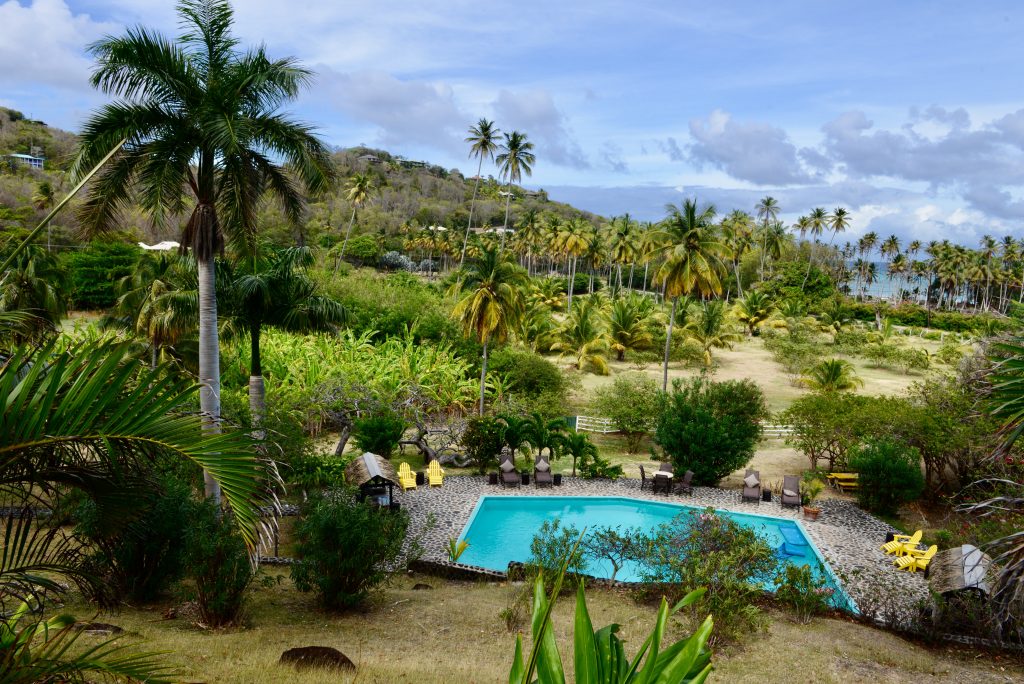 Epic Journeys 2014 Guyana Grenada St. Vincent & the Grenadines ST. Kitts & Nevis Miami (26)