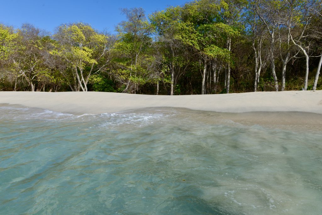 Epic Journeys 2014 Guyana Grenada St. Vincent & the Grenadines ST. Kitts & Nevis Miami (28)
