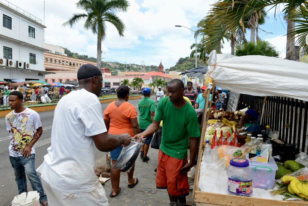 Epic Journeys 2014 Guyana Grenada St. Vincent & the Grenadines ST. Kitts & Nevis Miami (29)