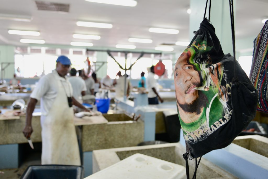 Epic Journeys 2014 Guyana Grenada St. Vincent & the Grenadines ST. Kitts & Nevis Miami (32)