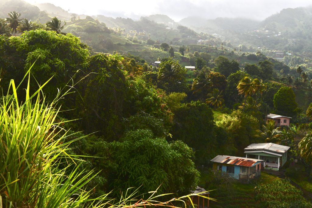 Epic Journeys 2014 Guyana Grenada St. Vincent & the Grenadines ST. Kitts & Nevis Miami (38)