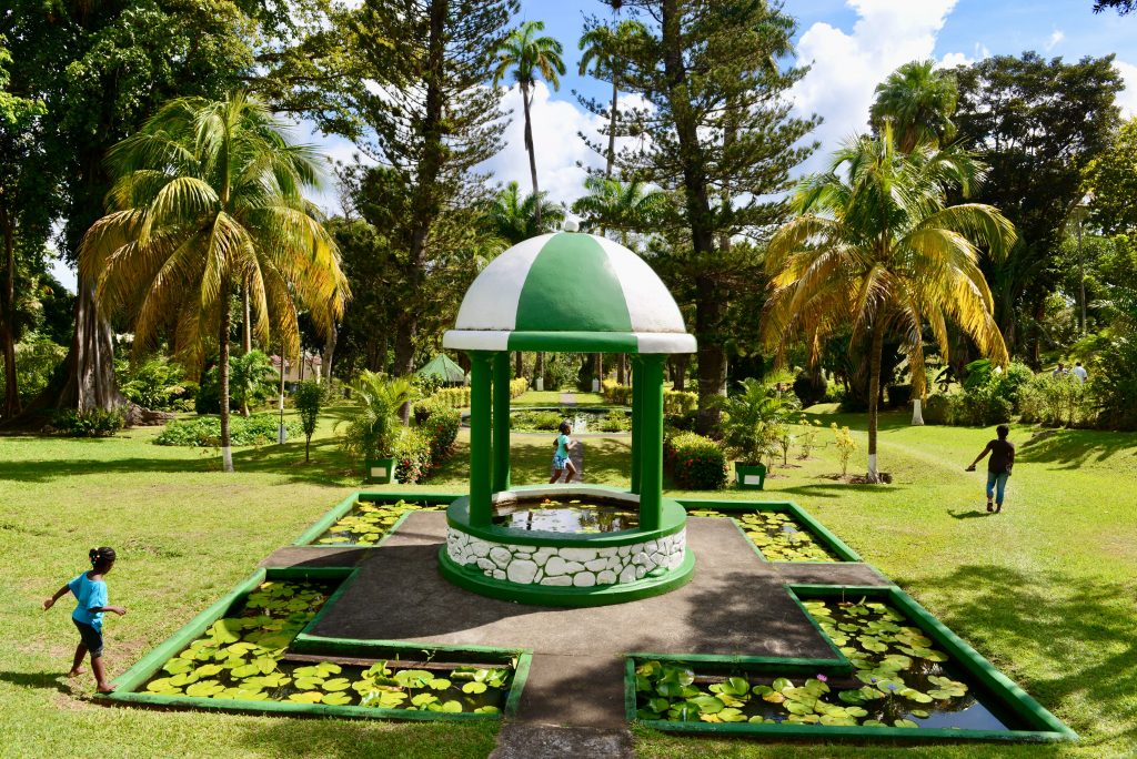 Epic Journeys 2014 Guyana Grenada St. Vincent & the Grenadines ST. Kitts & Nevis Miami (39)