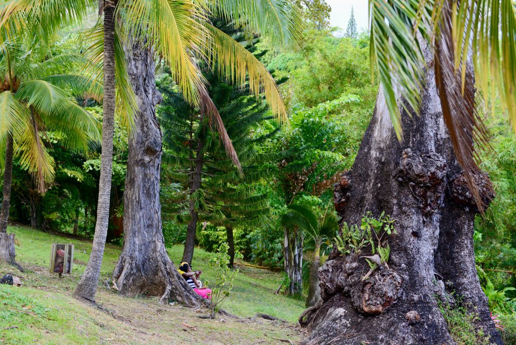 Epic Journeys 2014 Guyana Grenada St. Vincent & the Grenadines ST. Kitts & Nevis Miami (41)