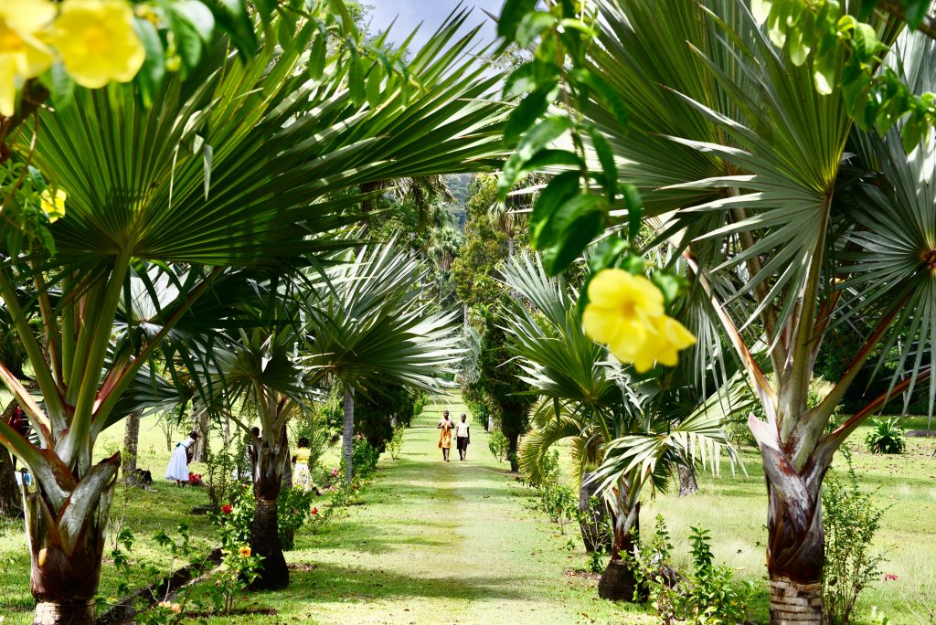 Epic Journeys 2014 Guyana Grenada St. Vincent & the Grenadines ST. Kitts & Nevis Miami (42)