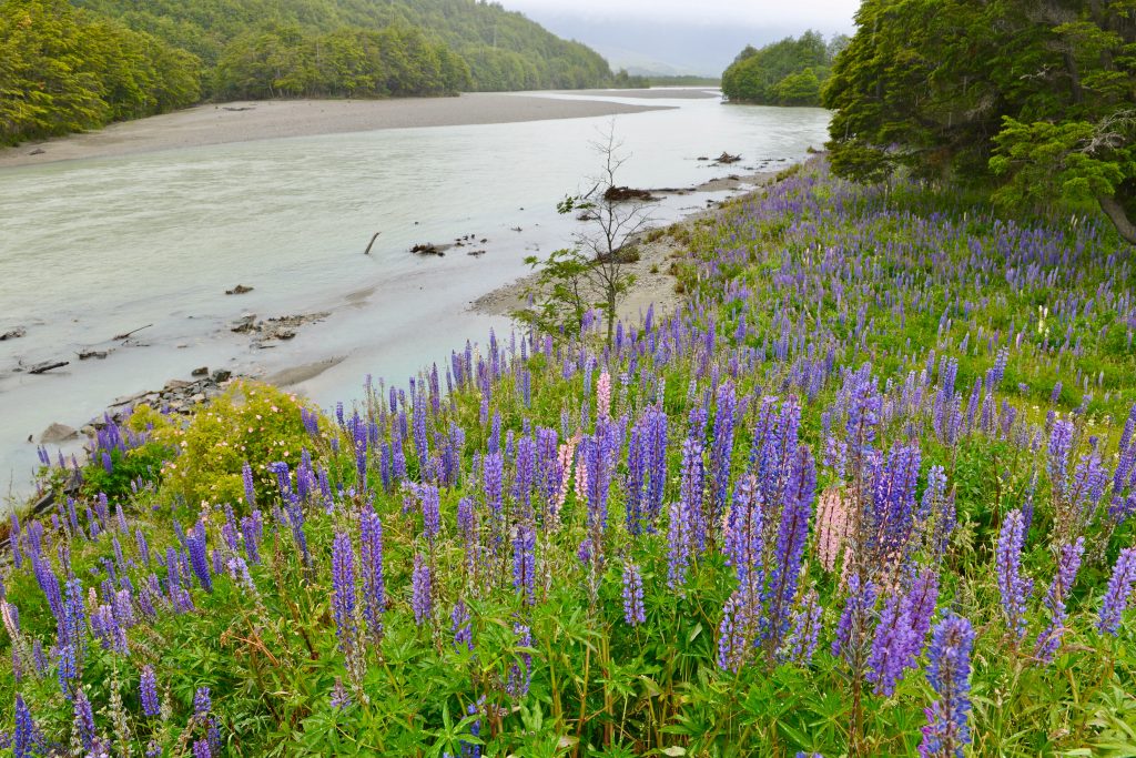 Epic Journeys 201415 von Rio nach Patagonien (31)