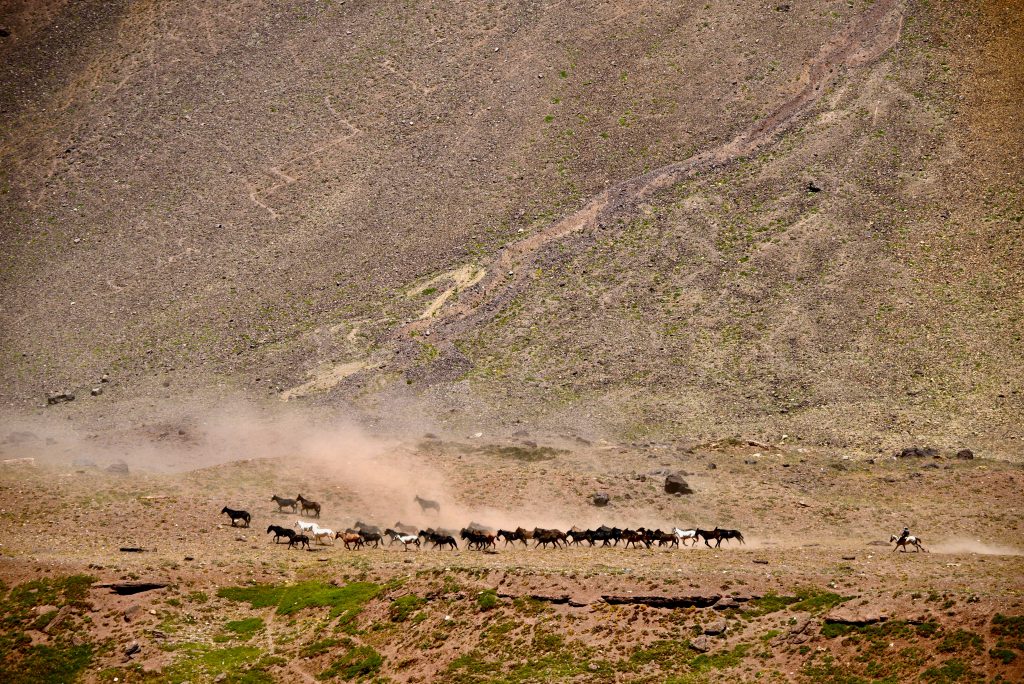 Epic Journeys 201415 von Rio nach Patagonien (46)