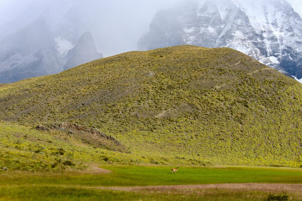 Epic Journeys 201415 von Rio nach Patagonien (50)