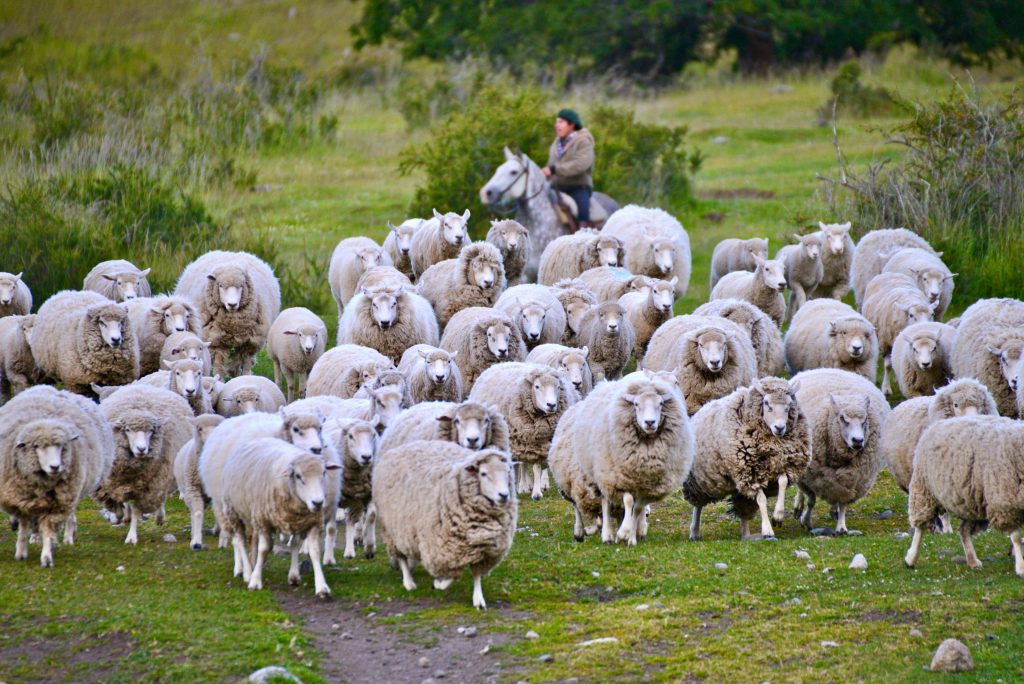 Epic Journeys 201415 von Rio nach Patagonien (65)