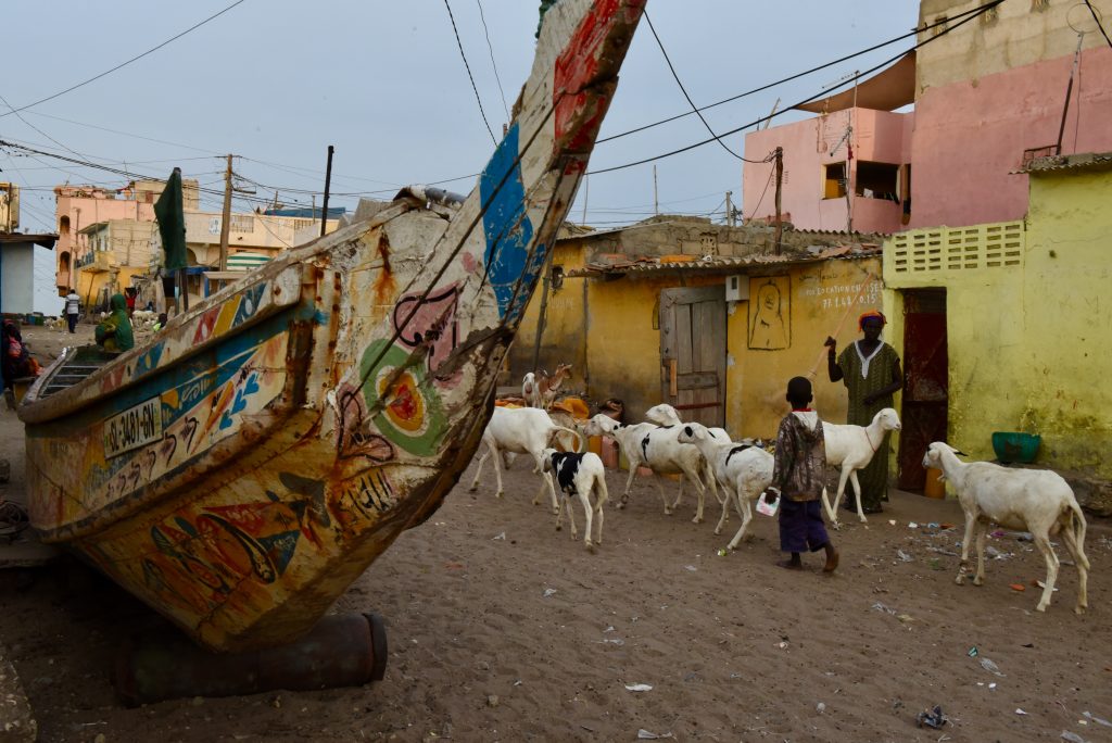 Epic Journeys 2017 - von Dakar über Gambia, die Casamance nach Guinea-Bissau (15)