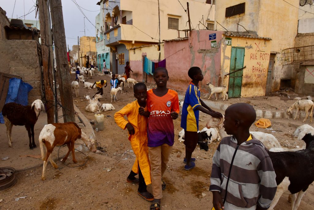 Epic Journeys 2017 - von Dakar über Gambia, die Casamance nach Guinea-Bissau (16)