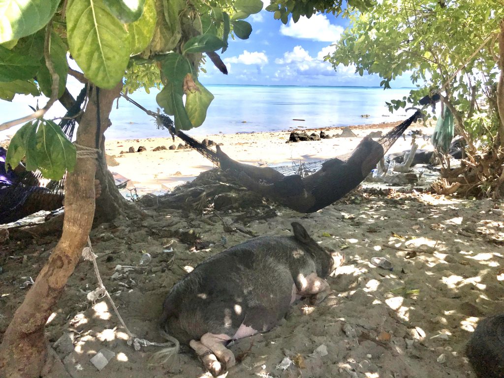 Epic Journeys 2019- from Dumpling to Dumpling- Hongkong Mikronesien Marschallinseln Nauru Kiribati Hawaii CAN Rocjies Vancouver (17)