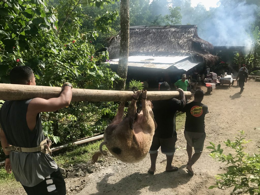 Epic Journeys 2019- from Dumpling to Dumpling- Hongkong Mikronesien Marschallinseln Nauru Kiribati Hawaii CAN Rocjies Vancouver (24)