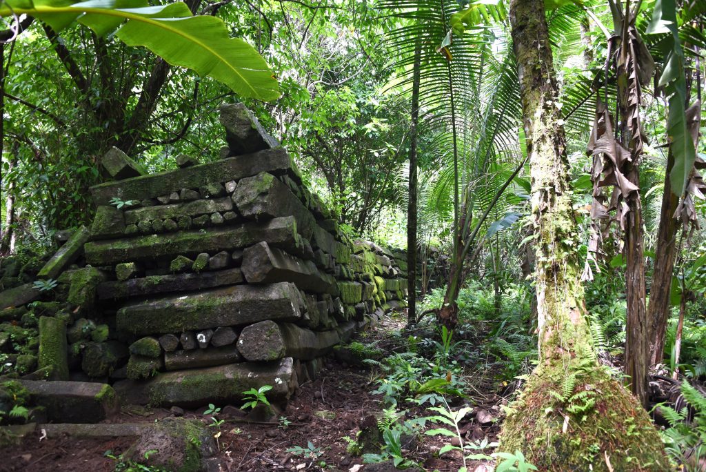 Epic Journeys 2019- from Dumpling to Dumpling- Hongkong Mikronesien Marschallinseln Nauru Kiribati Hawaii CAN Rocjies Vancouver (26)