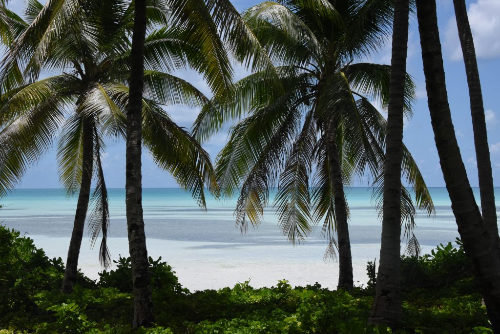 Epic Journeys 2019- from Dumpling to Dumpling- Hongkong Mikronesien Marschallinseln Nauru Kiribati Hawaii CAN Rocjies Vancouver (32)