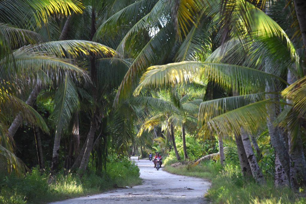 Epic Journeys 2019- from Dumpling to Dumpling- Hongkong Mikronesien Marschallinseln Nauru Kiribati Hawaii CAN Rocjies Vancouver (40)