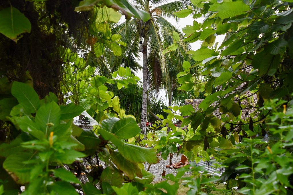 Epic Journeys 2019- from Dumpling to Dumpling- Hongkong Mikronesien Marschallinseln Nauru Kiribati Hawaii CAN Rocjies Vancouver (41)