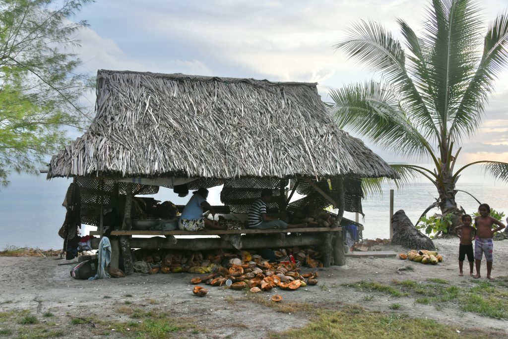 Epic Journeys 2019- from Dumpling to Dumpling- Hongkong Mikronesien Marschallinseln Nauru Kiribati Hawaii CAN Rocjies Vancouver (44)
