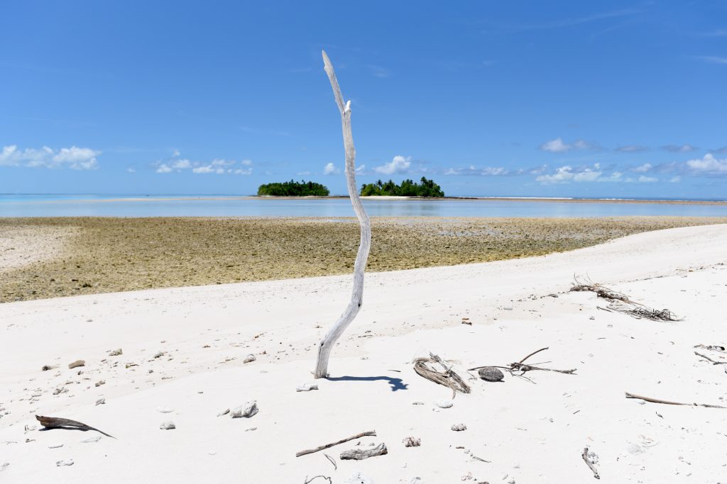 Epic Journeys 2019- from Dumpling to Dumpling- Hongkong Mikronesien Marschallinseln Nauru Kiribati Hawaii CAN Rocjies Vancouver (56)