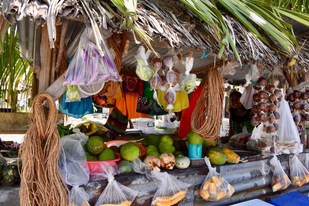 Epic Journeys 2019- from Dumpling to Dumpling- Hongkong Mikronesien Marschallinseln Nauru Kiribati Hawaii CAN Rocjies Vancouver (9)
