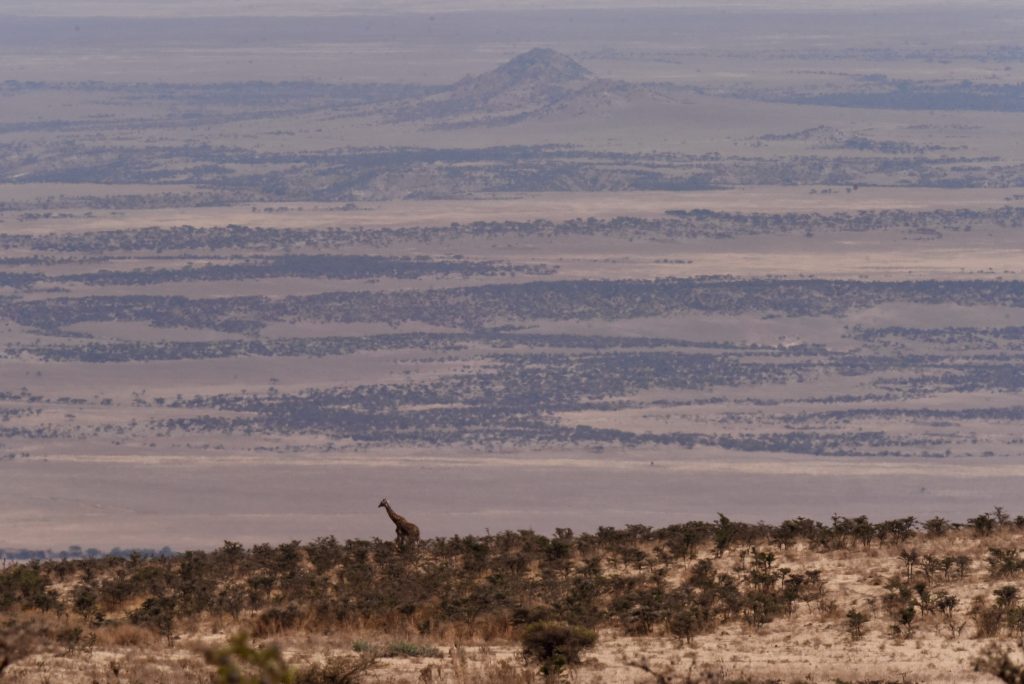 Epic Journeys 2020 - Tansania Sambia Malawi Kenia