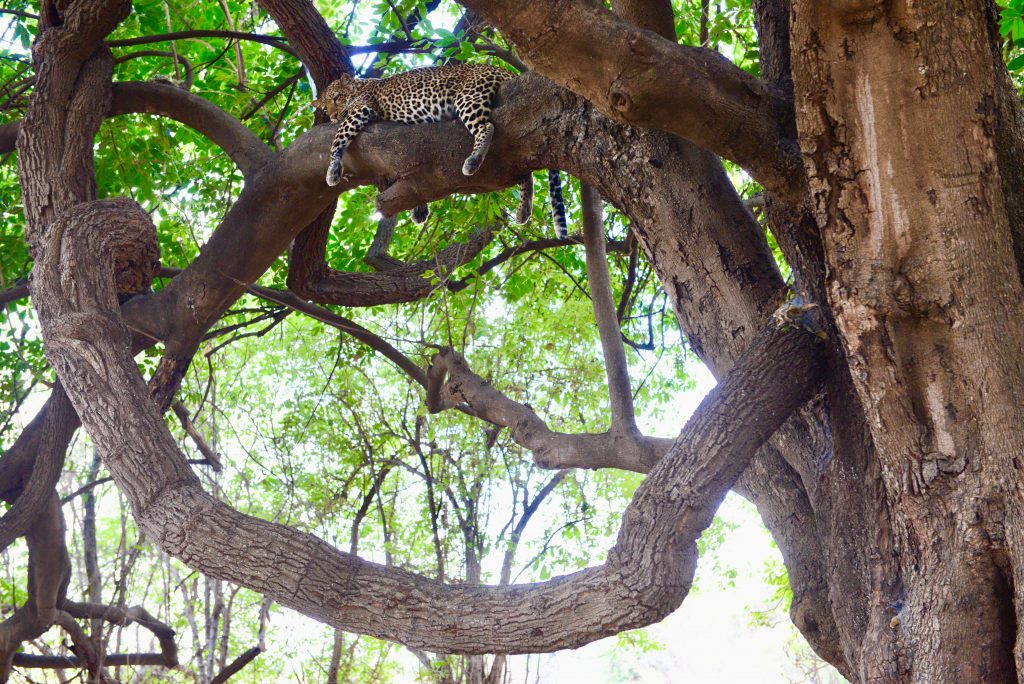 Epic Journeys 2020 - Tansania Sambia Malawi Kenia (16)