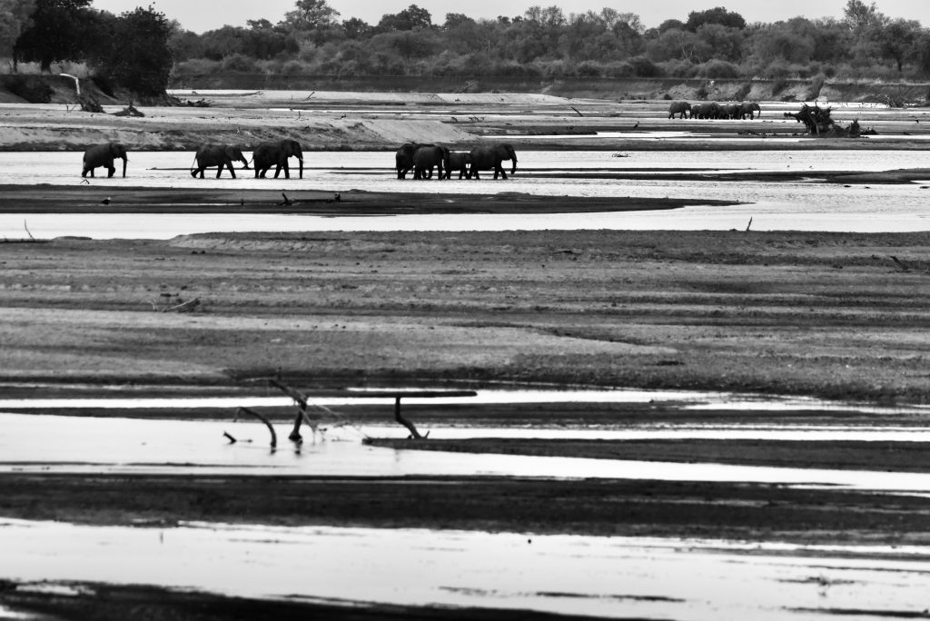 Epic Journeys 2020 - Tansania Sambia Malawi Kenia (24)