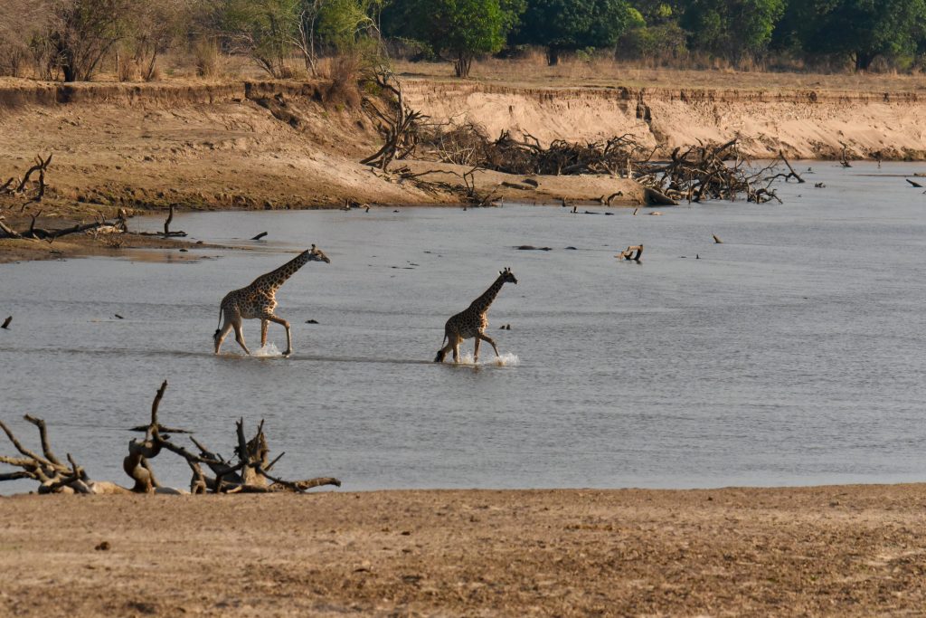 Epic Journeys 2020 - Tansania Sambia Malawi Kenia (27)
