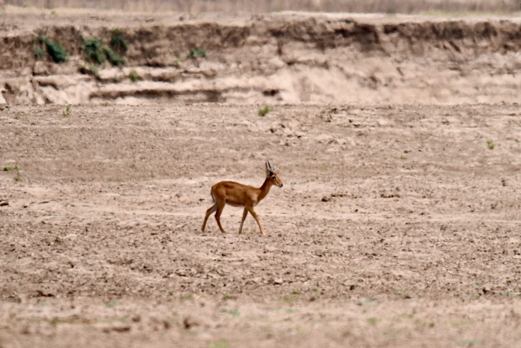 Epic Journeys 2020 - Tansania Sambia Malawi Kenia (28)