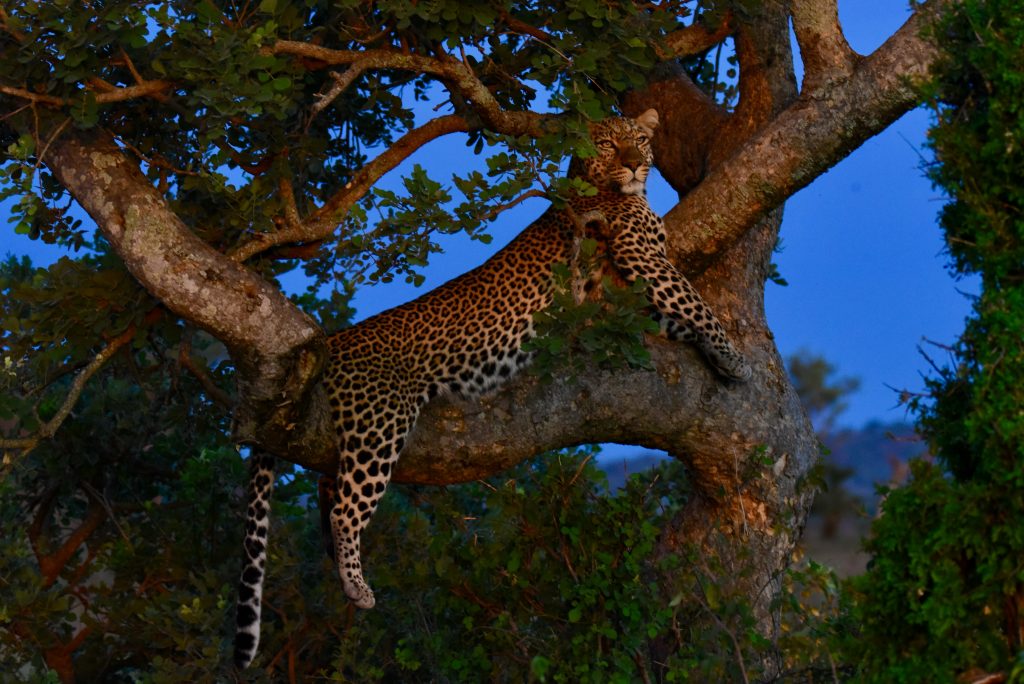 Epic Journeys 2020 - Tansania Sambia Malawi Kenia (3)