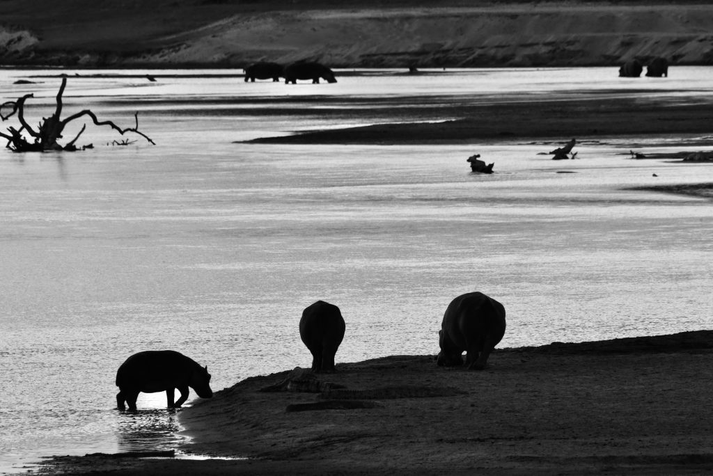 Epic Journeys 2020 - Tansania Sambia Malawi Kenia (5)