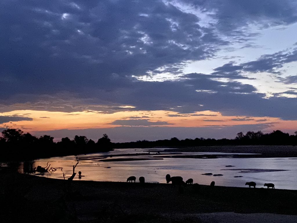 Epic Journeys 2020 - Tansania Sambia Malawi Kenia (7)