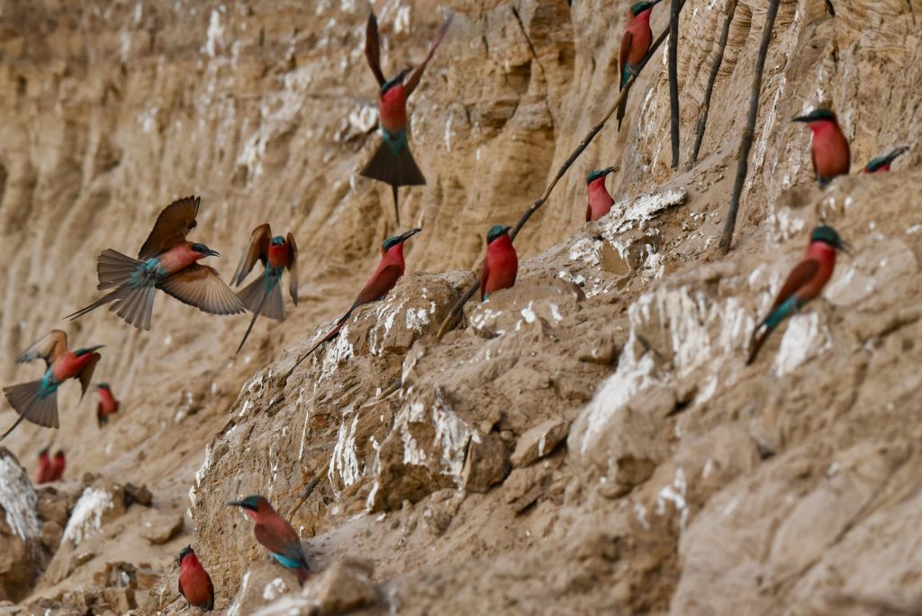 Epic Journeys 2020 - Tansania Sambia Malawi Kenia (8)