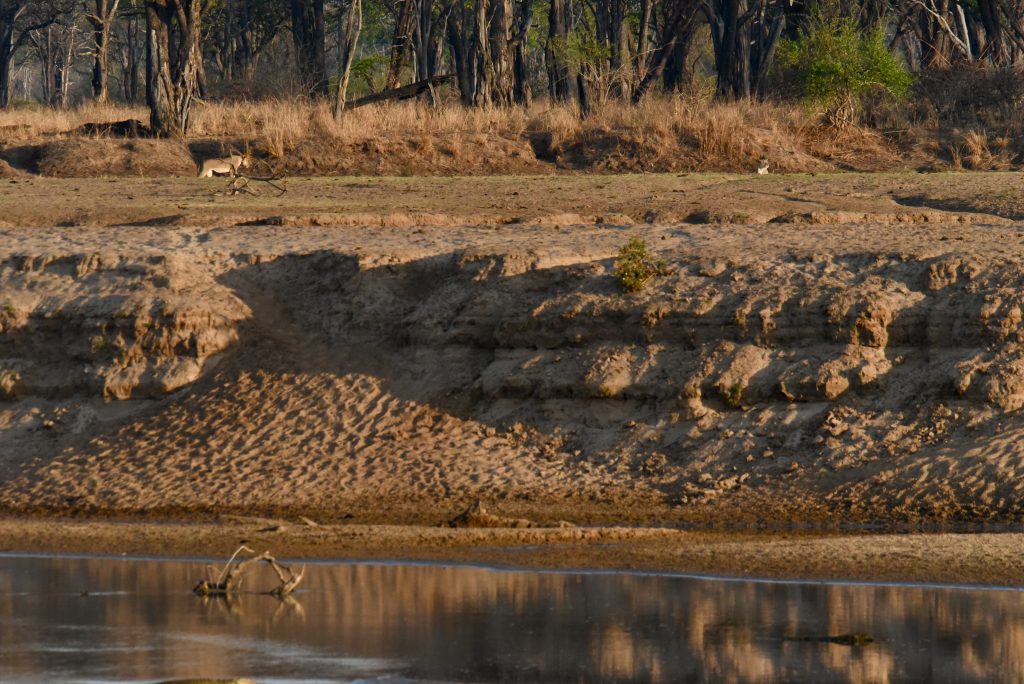 Epic Journeys 2020 - Tansania Sambia Malawi Kenia (9)