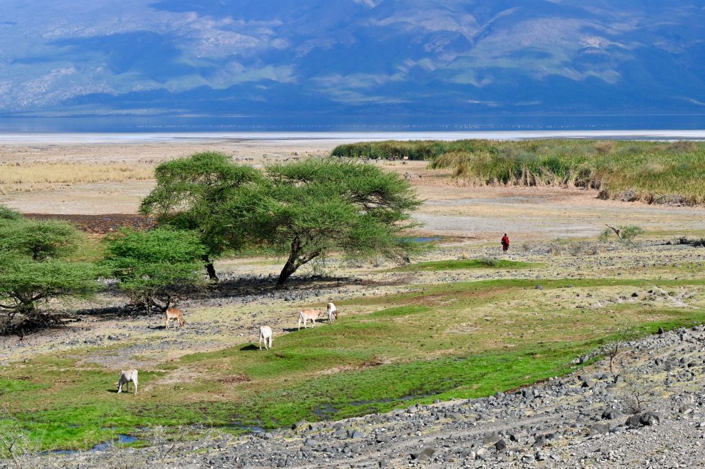 Epic Journeys 2021 Dachzelttour Lake Natron - Serengeti - Namiri Plains - Musoma, Lake Victoria - Dirisha Camp Maasai Mara (3)