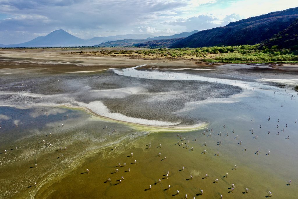 Epic Journeys 2021 Dachzelttour Lake Natron - Serengeti - Namiri Plains - Musoma, Lake Victoria - Dirisha Camp Maasai Mara (4)