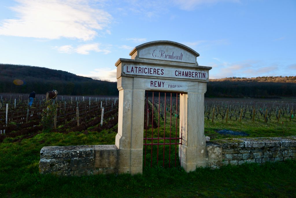 Frankreich 2015 Strassburg Burgund Nancy Paris (19)