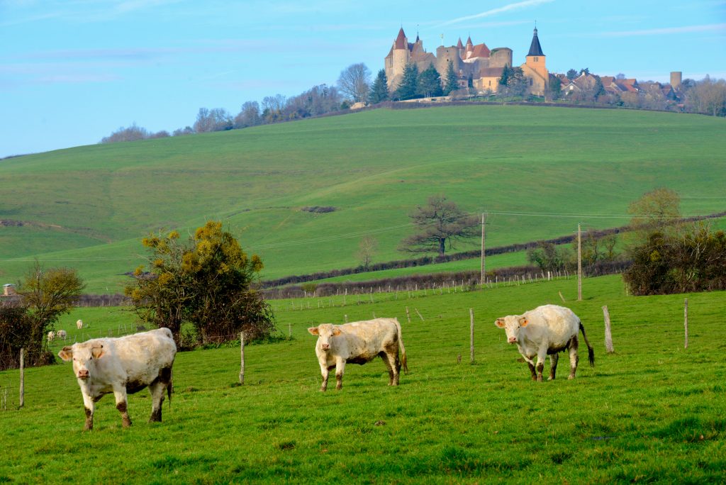 Frankreich 2015 Strassburg Burgund Nancy Paris (22)