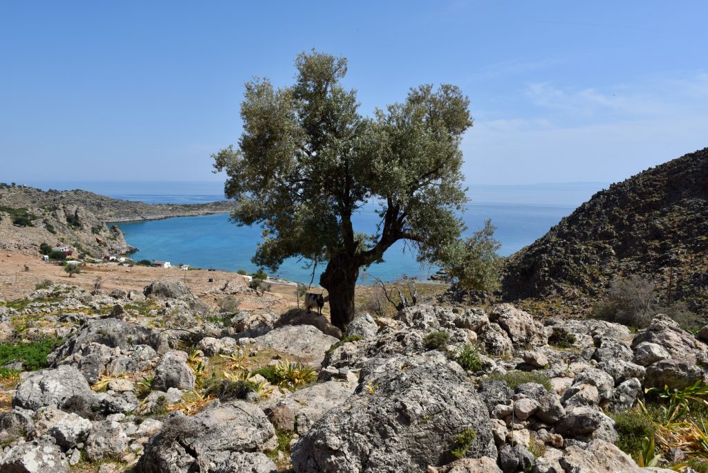 Griechenland 2018 Saloniki Meteora Kreta Athen (42)