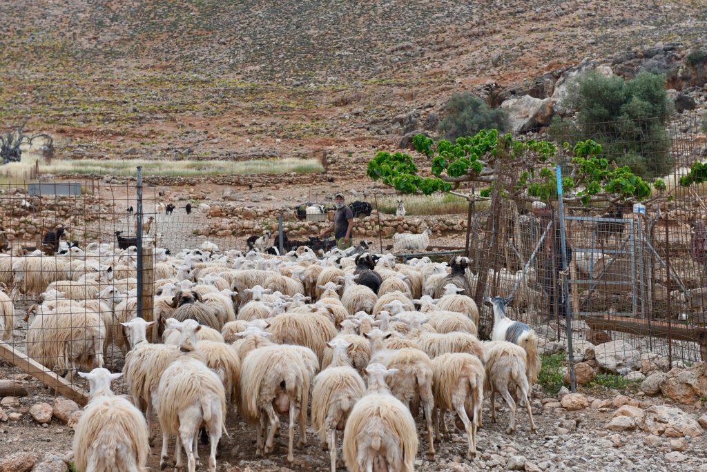 Griechenland 2018 Saloniki Meteora Kreta Athen (44)