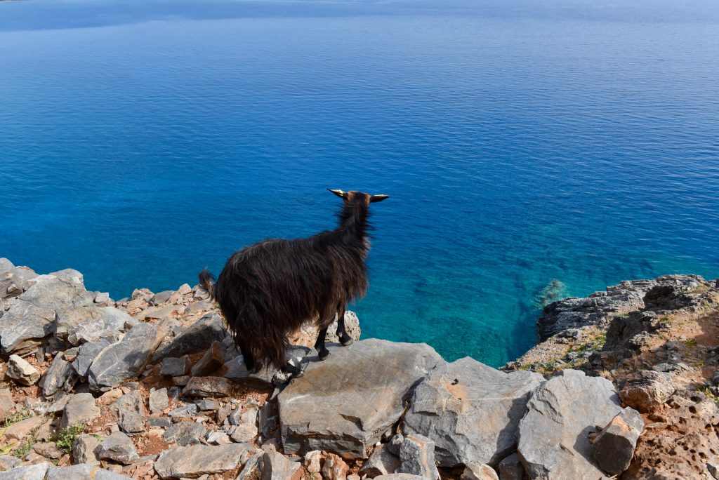 Griechenland 2018 Saloniki Meteora Kreta Athen (45)